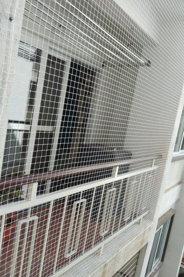 Bird Safety Nets